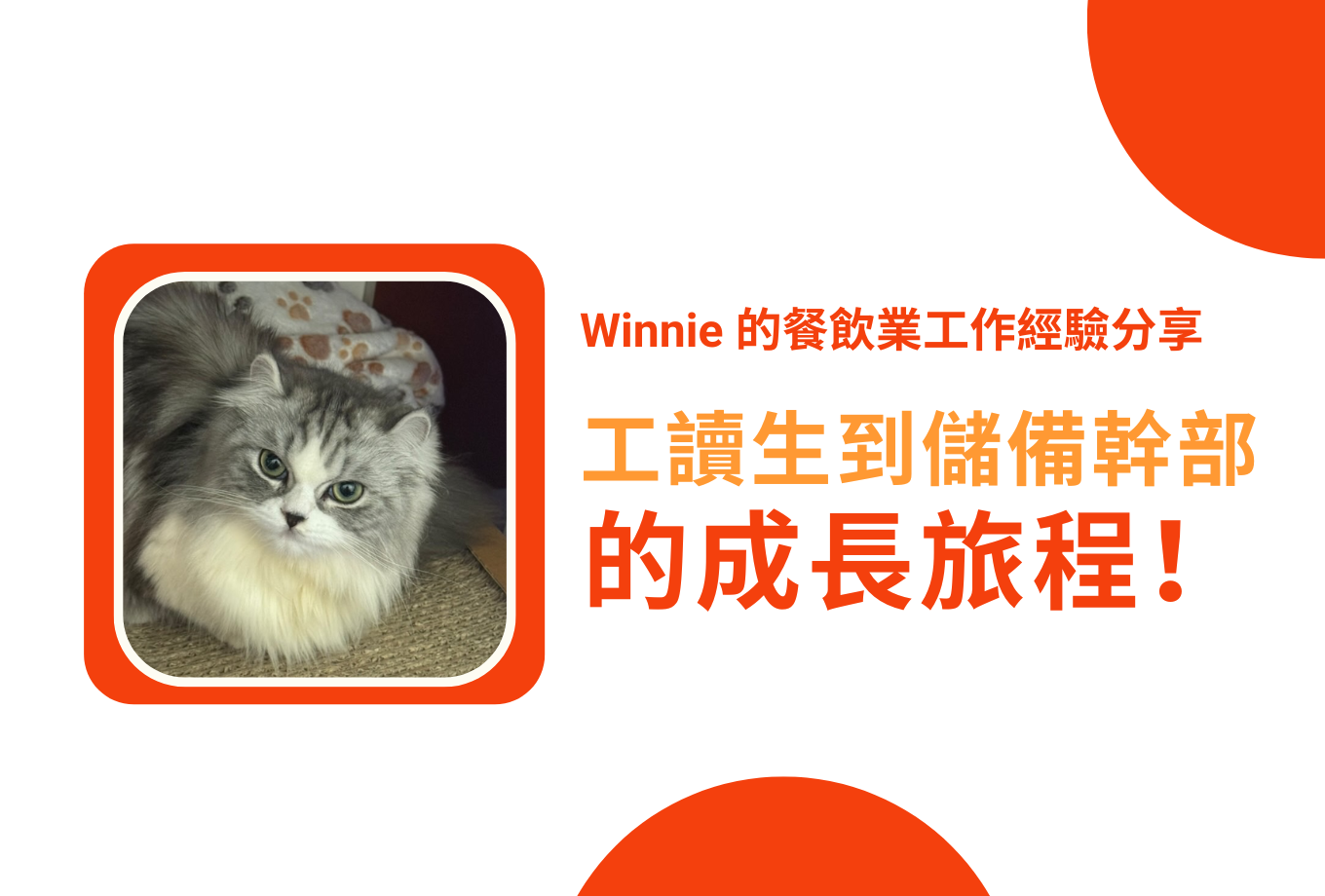 【FREONE 專訪】Winnie 的餐飲業工作經驗分享:從工讀生到儲備幹部的成長旅程!